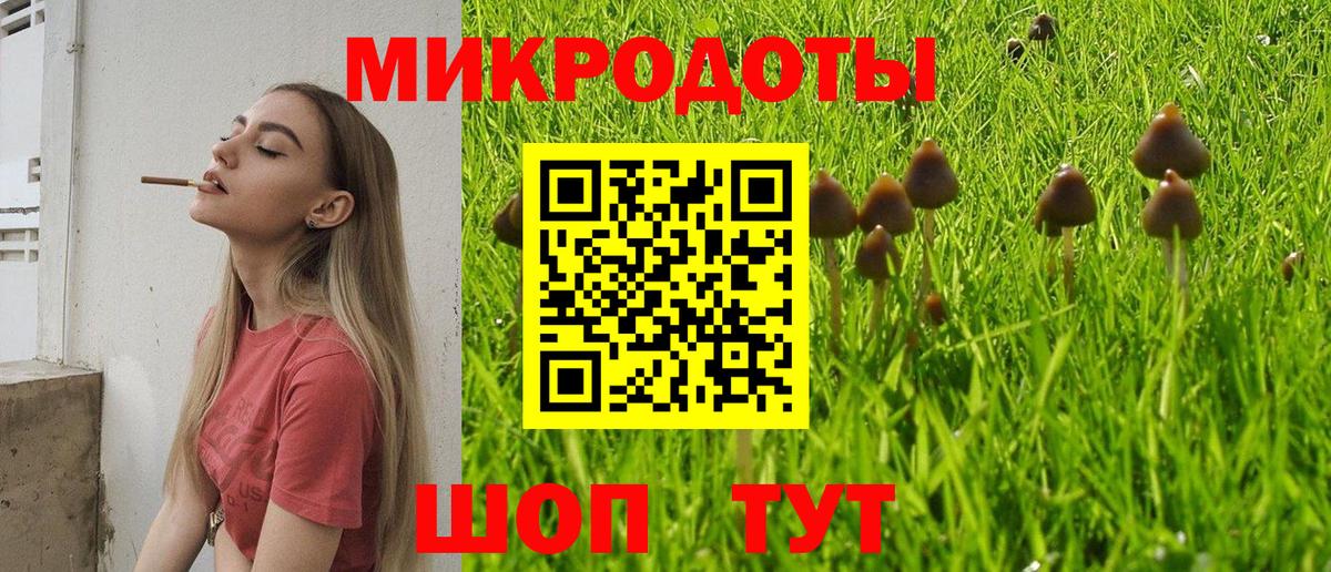 Карпинск  Псилоцибиновые грибы мухоморы  Вход с VPN 